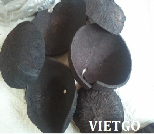 xuất khẩu than